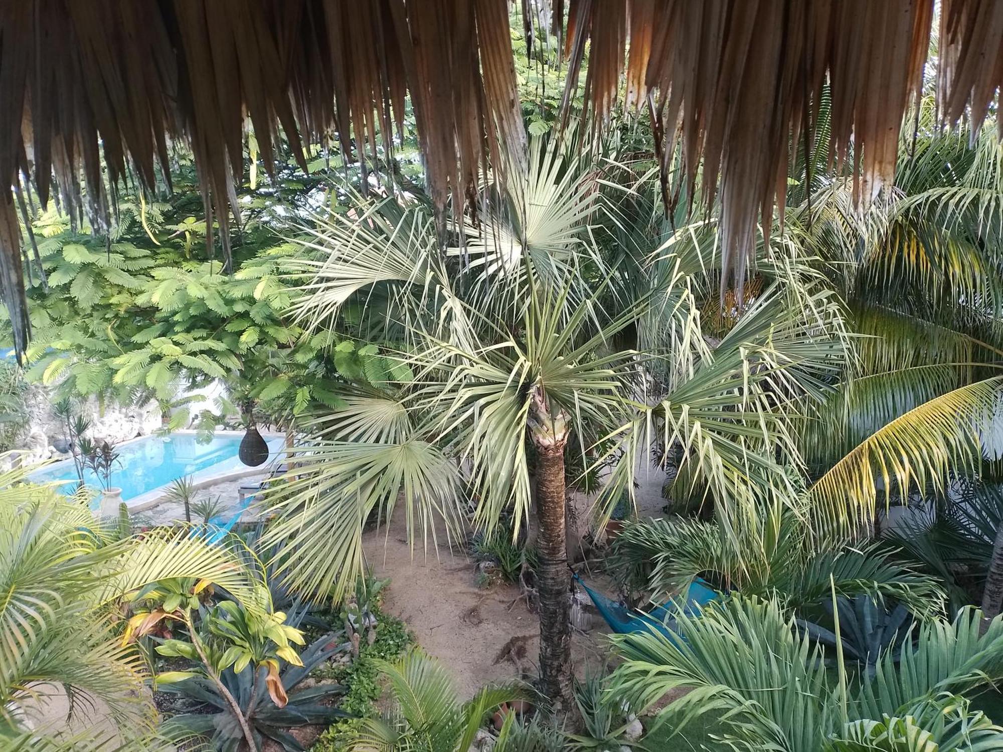 Zamunda Garden View Hotel ตูลุม ภายนอก รูปภาพ