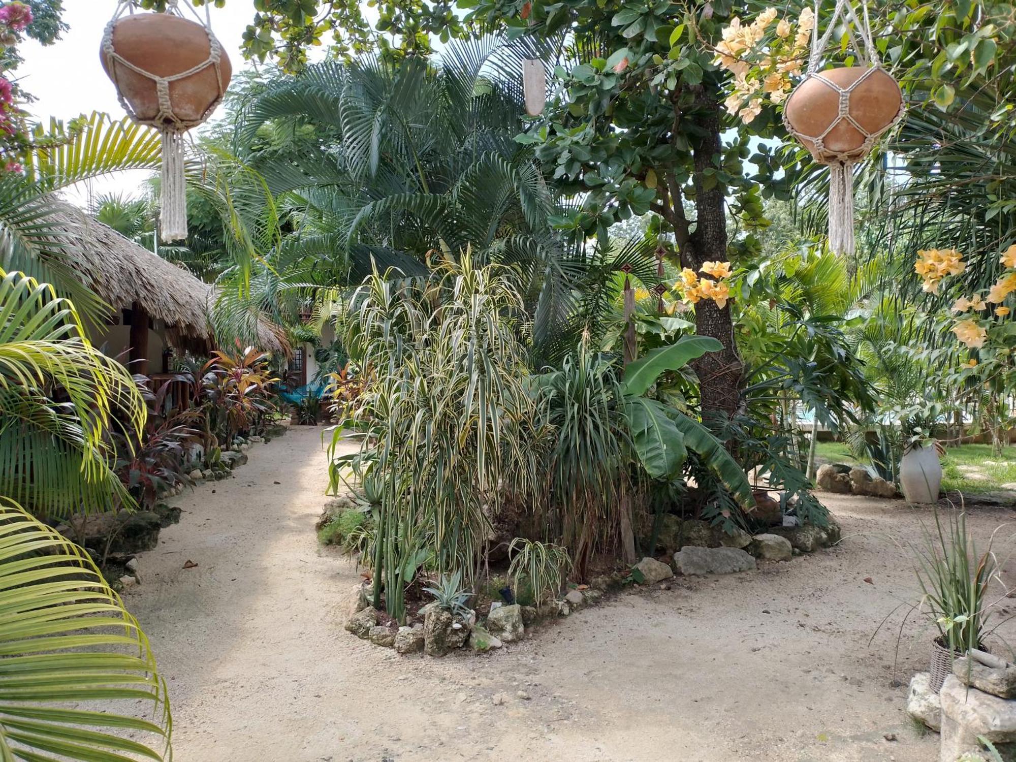 Zamunda Garden View Hotel ตูลุม ภายนอก รูปภาพ