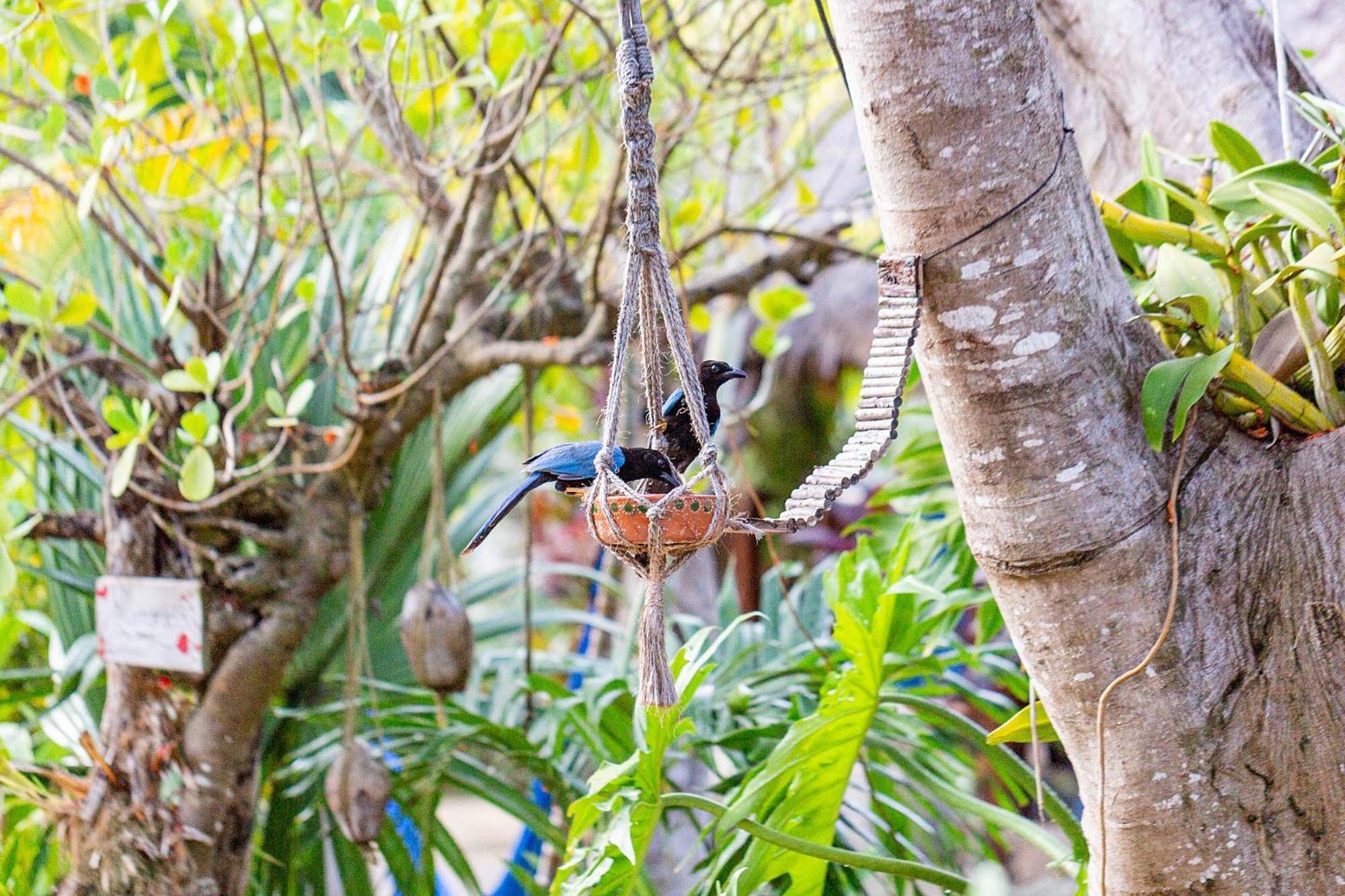 Zamunda Garden View Hotel ตูลุม ภายนอก รูปภาพ